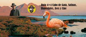 Ruta 4×4 Cabo de Gata, Salinas, Humedales, Aves y Cine